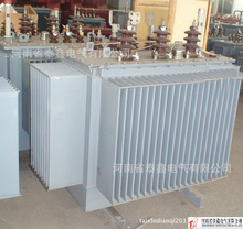 找相似款-厂家直销 全铜 SBH15-M-800KVA 配电变压器 电力变压器-相似图片